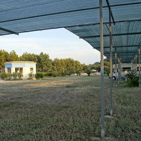 Villaggio Alga Blu Vieste Zewnętrze zdjęcie